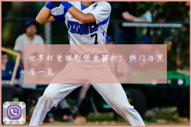 世界杯晋级形势全解析:热门与黑马一览