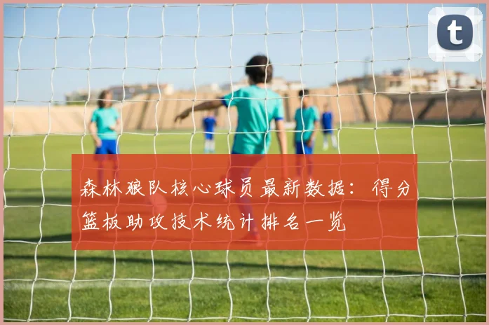 森林狼队核心球员最新数据：得分篮板助攻技术统计排名一览